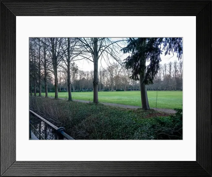 Framed Print : 2snrdpt Framed Print : 2snrdpt
