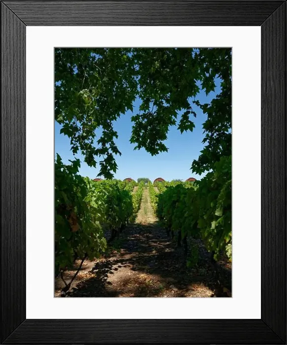 Framed Print : 2sp7k1b Framed Print : 2sp7k1b