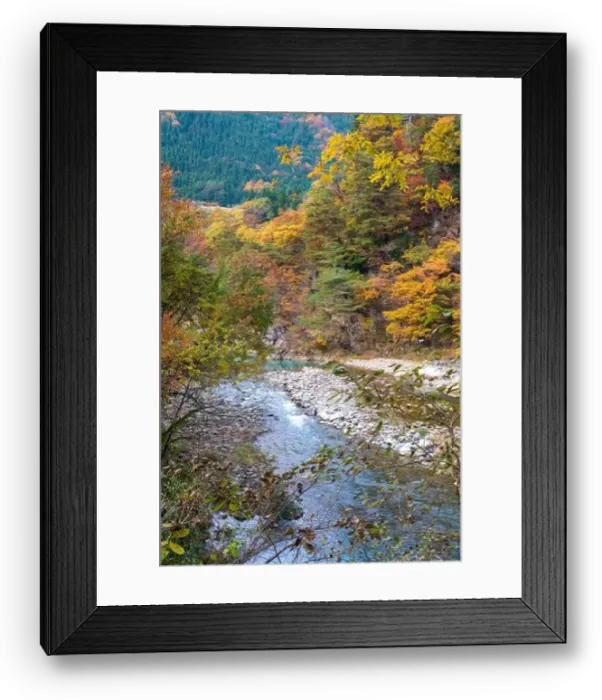 Framed Print : 2sp9955 Framed Print : 2sp9955