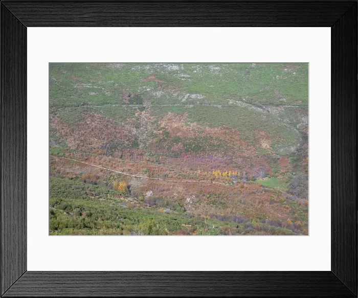 Framed Print : 2sphpc4 Framed Print : 2sphpc4