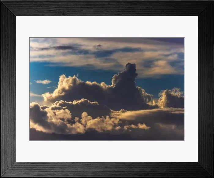 Framed Print : 2sr8234 Framed Print : 2sr8234