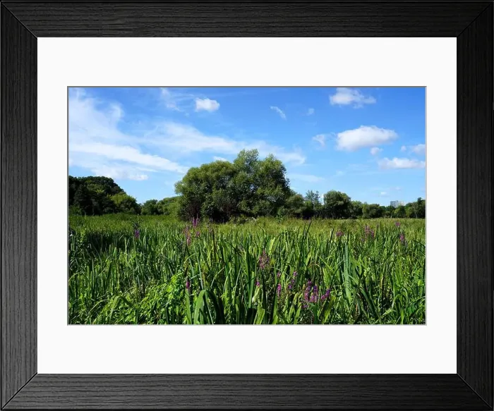 Framed Print : 2srcf8b Framed Print : 2srcf8b