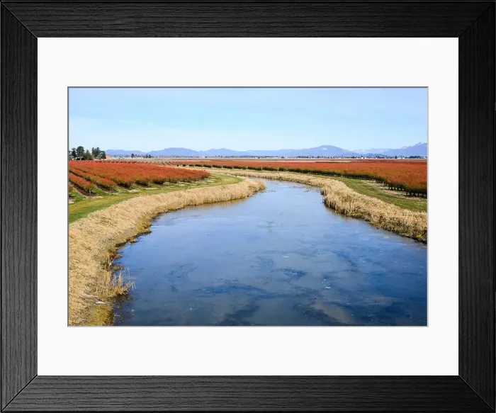 Framed Print : 2srf31j Framed Print : 2srf31j