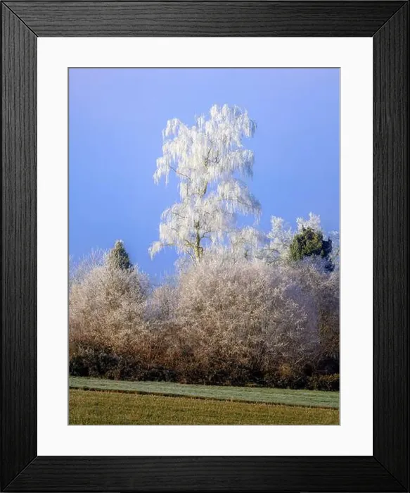 Framed Print : 2srjnbp Framed Print : 2srjnbp