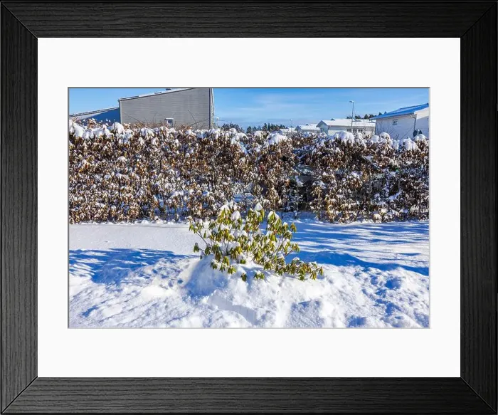 Framed Print : 2srk1kx Framed Print : 2srk1kx