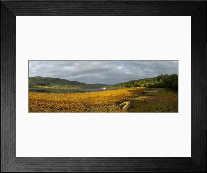 Framed Print : 2srmd89 Framed Print : 2srmd89