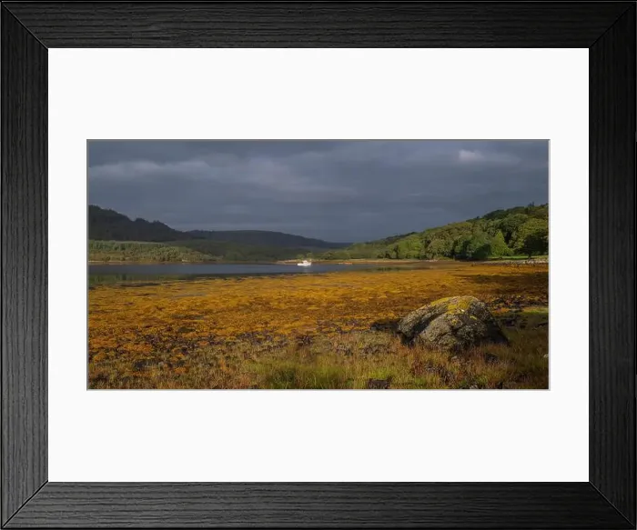 Framed Print : 2srmdag Framed Print : 2srmdag