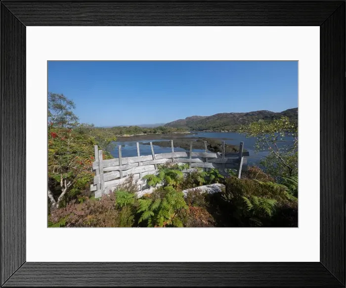 Framed Print : 2srme57 Framed Print : 2srme57