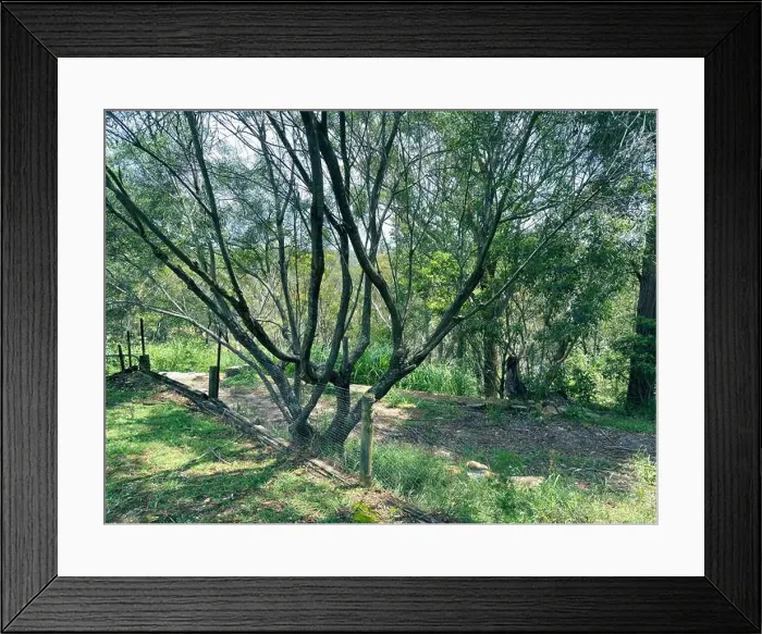 Framed Print : 2srrchy Framed Print : 2srrchy