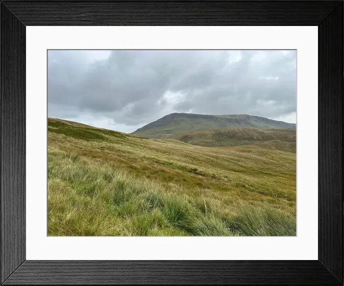 Framed Print : 2st3td7 Framed Print : 2st3td7