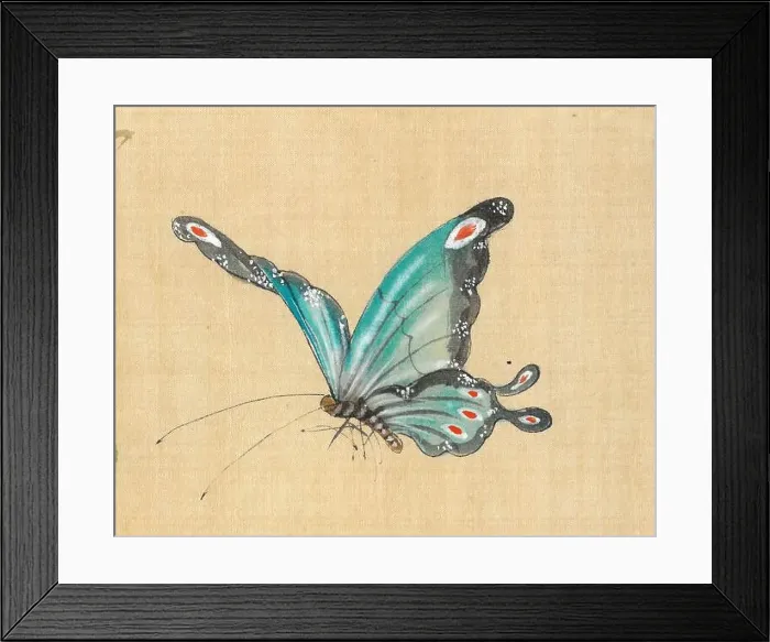 Framed Print : 2g71hr9 Framed Print : 2g71hr9