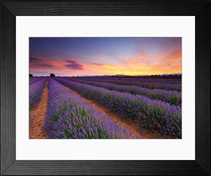 Framed Print : day4yf Framed Print : day4yf