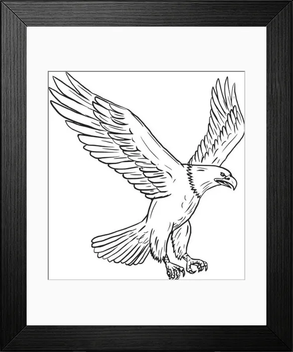 Framed Print : Collection set of illustrations of bald eagle flying with wings flapping viewed in different movements done in drawing Framed Print : Collection set of illustrations of bald eagle flying with wings flapping viewed in different movements done in drawing