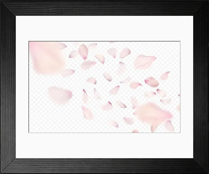 Framed Print : Pink sakura falling petals background. Vector illustration Framed Print : Pink sakura falling petals background. Vector illustration
