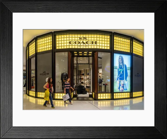 Framed Print : Coach fashion shop in Dubai Mall Dubai United Arab Emirates Framed Print : Coach fashion shop in Dubai Mall Dubai United Arab Emirates