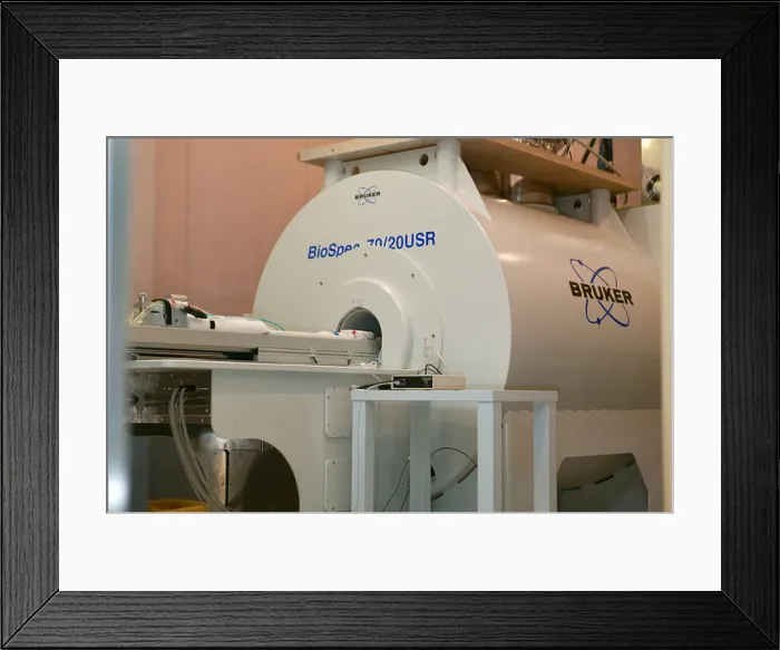 Framed Print : PET CT scan mouse Framed Print : PET CT scan mouse