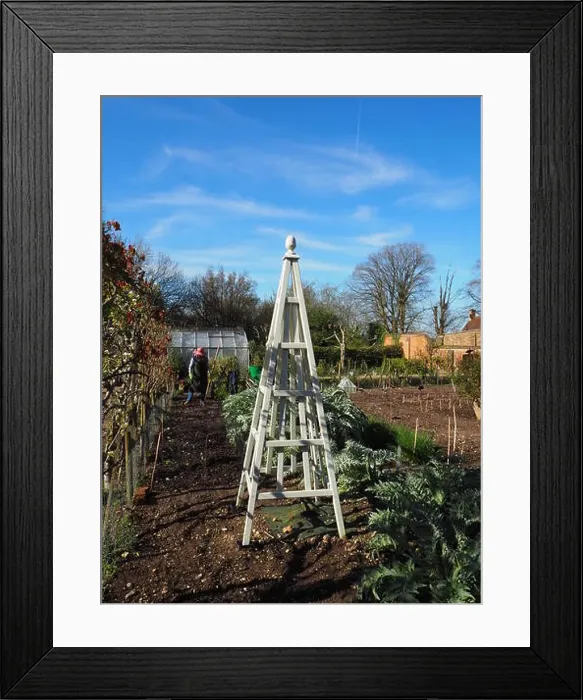 Framed Print : Portrait of gardener preparing the patch in Chenies Manor Kitchen garden in Spring Framed Print : Portrait of gardener preparing the patch in Chenies Manor Kitchen garden in Spring