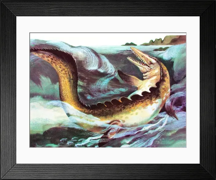 Framed Print : Mosasaurus, ancient reptile, dinosaur, prehistoric animal Framed Print : Mosasaurus, ancient reptile, dinosaur, prehistoric animal