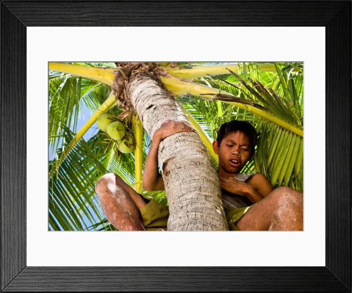 Framed Print : A Filipino boy climbing up a coconut tree