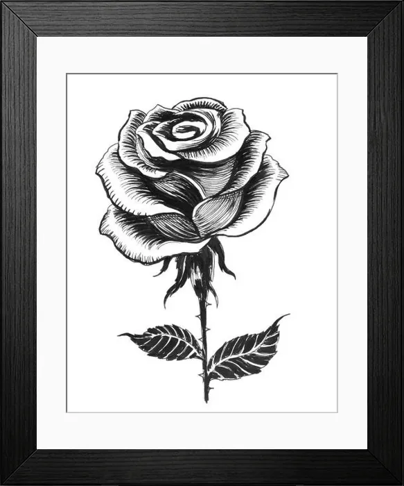 Framed Print : Ink black and white drawing of a single white rose Framed Print : Ink black and white drawing of a single white rose