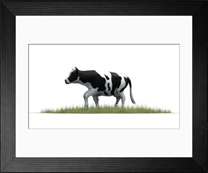 Framed Print : Cow in grass - isolated on white background