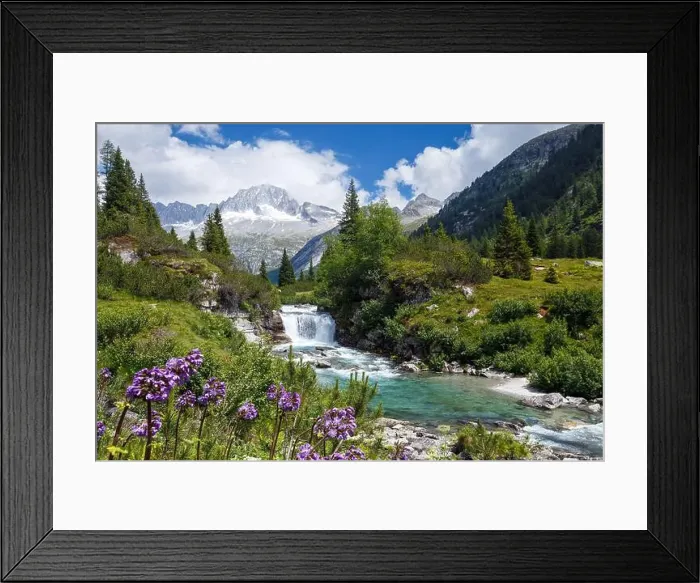 Framed Print : River Chiese, waterfall. Alpine flowers Framed Print : River Chiese, waterfall. Alpine flowers