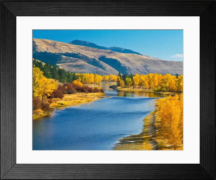 Framed Print : fall colors along the bitterroot river near missoula, montana Framed Print : fall colors along the bitterroot river near missoula, montana
