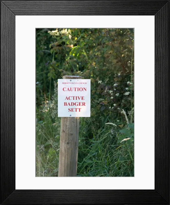 Framed Print : Badger Sett warning sign Framed Print : Badger Sett warning sign