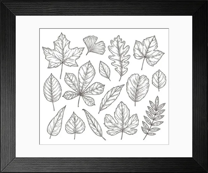 Framed Print : Sketch autumn leaves. Fall leaf Framed Print : Sketch autumn leaves. Fall leaf