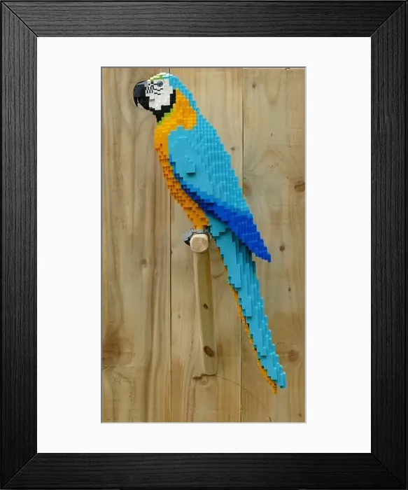 Framed Print : Lego parrot Framed Print : Lego parrot