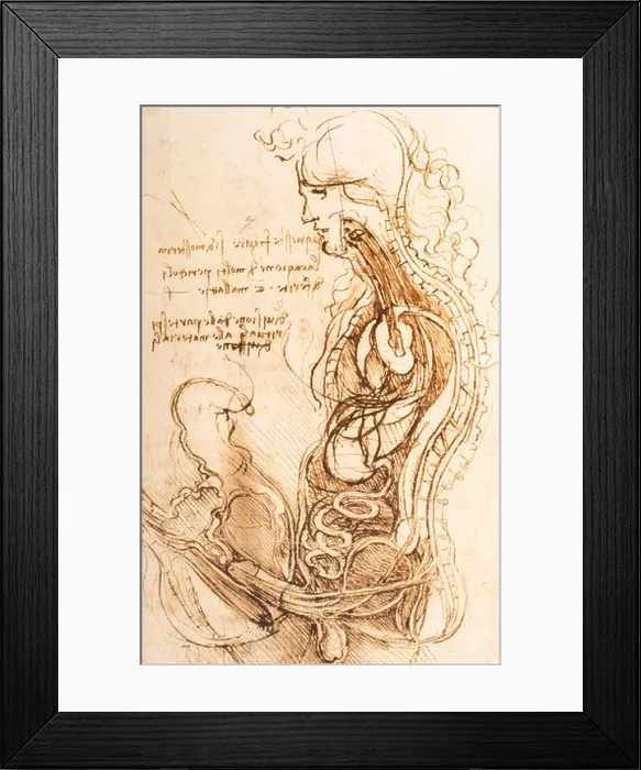 Framed Print : detail of The Sexual Act in Vertical Section by Leonardo da Vinci 1490 Framed Print : detail of The Sexual Act in Vertical Section by Leonardo da Vinci 1490