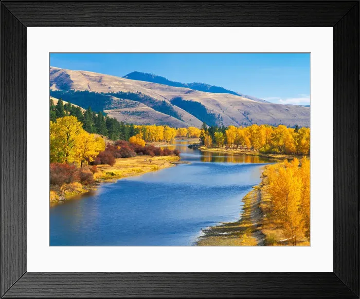 Framed Print : fall colors along the bitterroot river near missoula, montana Framed Print : fall colors along the bitterroot river near missoula, montana