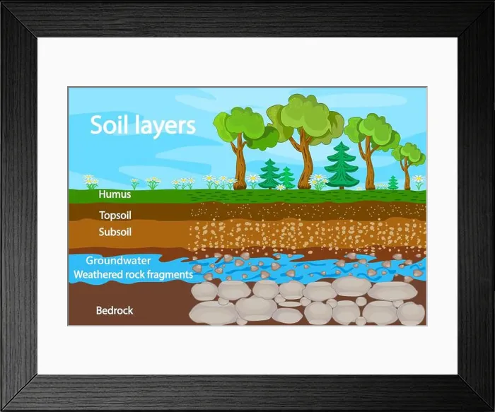 Framed Print : Diagram for layer of soil. Soil layers scheme with grass Framed Print : Diagram for layer of soil. Soil layers scheme with grass