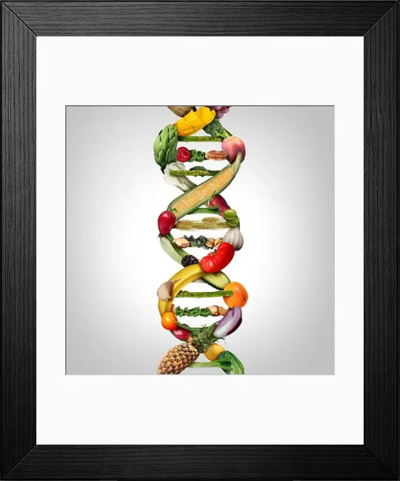 Framed Print : GMO food and Genetically modified crops or engineered agriculture concept using biotechnology Framed Print : GMO food and Genetically modified crops or engineered agriculture concept using biotechnology