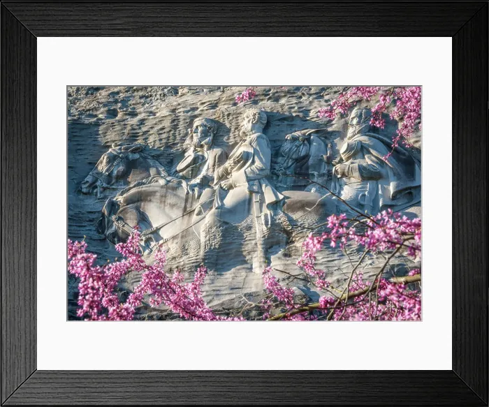Framed Print : A southern landmark, Stone Mountain's Confederate Memorial carving framed by beautiful spring blossoms in Atlanta Framed Print : A southern landmark, Stone Mountain's Confederate Memorial carving framed by beautiful spring blossoms in Atlanta