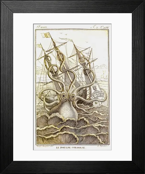 Framed Print : Pierre Dénys de Montfort Framed Print : Pierre Dénys de Montfort