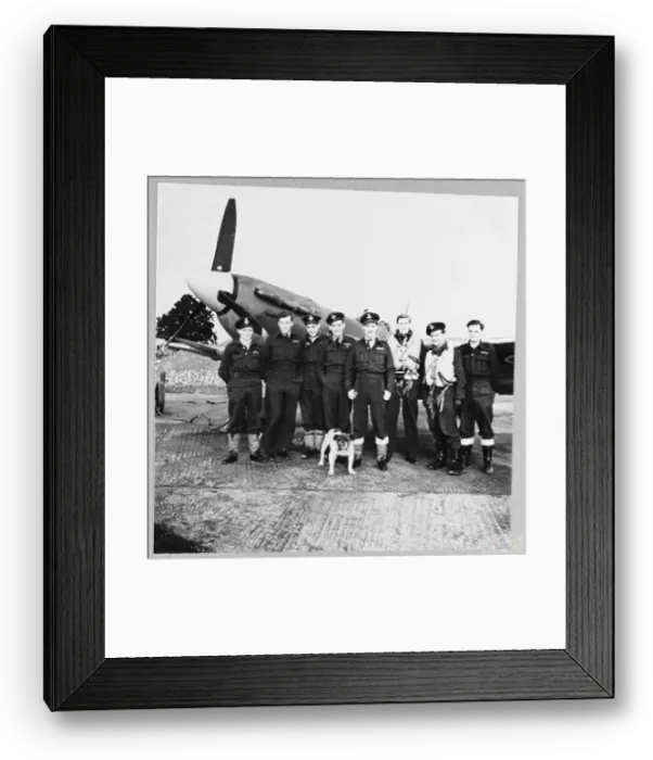 Framed Print : COUNTY OF NOTTINGHAM'SPITFIRE SQUADRON - Some of the pilots of a Spitfire fighter squadron [No Framed Print : COUNTY OF NOTTINGHAM'SPITFIRE SQUADRON - Some of the pilots of a Spitfire fighter squadron [No
