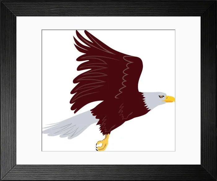 Framed Print : Illustration of a bald eagle flying set on isolated white background done in retro style Framed Print : Illustration of a bald eagle flying set on isolated white background done in retro style