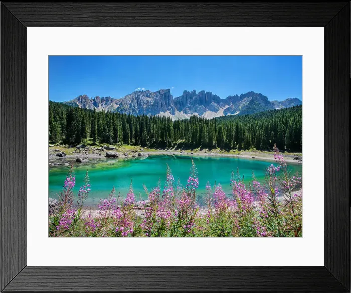 Framed Print : Karersee Lake with wild flowers forest and mountains, Dolomites, Italy Framed Print : Karersee Lake with wild flowers forest and mountains, Dolomites, Italy