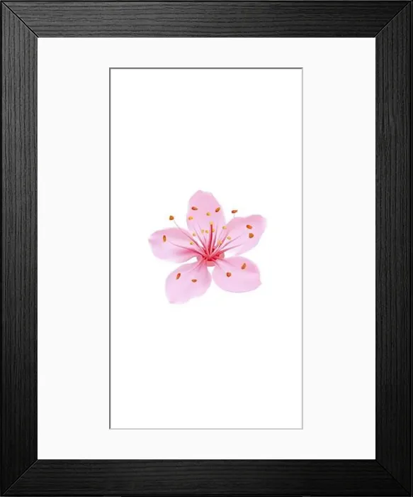 Framed Print : 3D realistic romantic sakura cherry flower social media cover Framed Print : 3D realistic romantic sakura cherry flower social media cover