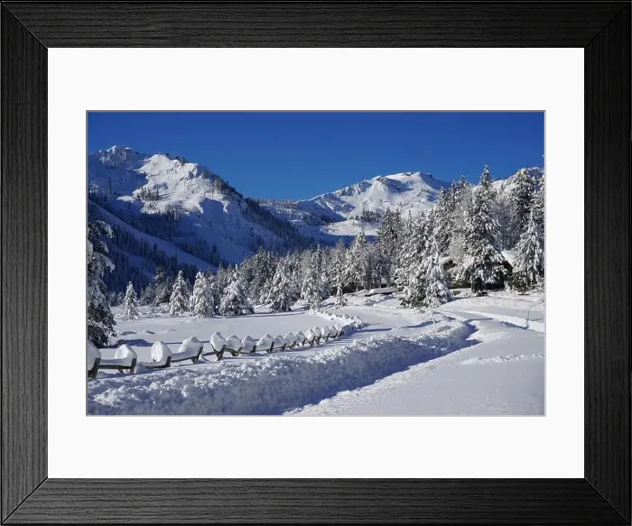 Framed Print : sunny blue bird day after a big dump in Squaw Valley / Palisades Tahoe ca usa by the bike path Framed Print : sunny blue bird day after a big dump in Squaw Valley / Palisades Tahoe ca usa by the bike path