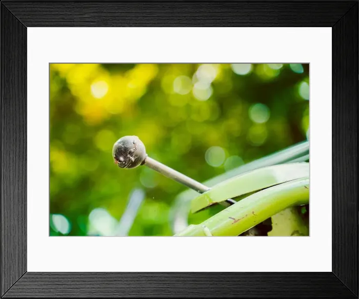 Framed Print : The control lever on a walk-behind tractor close-up on a blurred background. Control elements of agricultural machinery Framed Print : The control lever on a walk-behind tractor close-up on a blurred background. Control elements of agricultural machinery