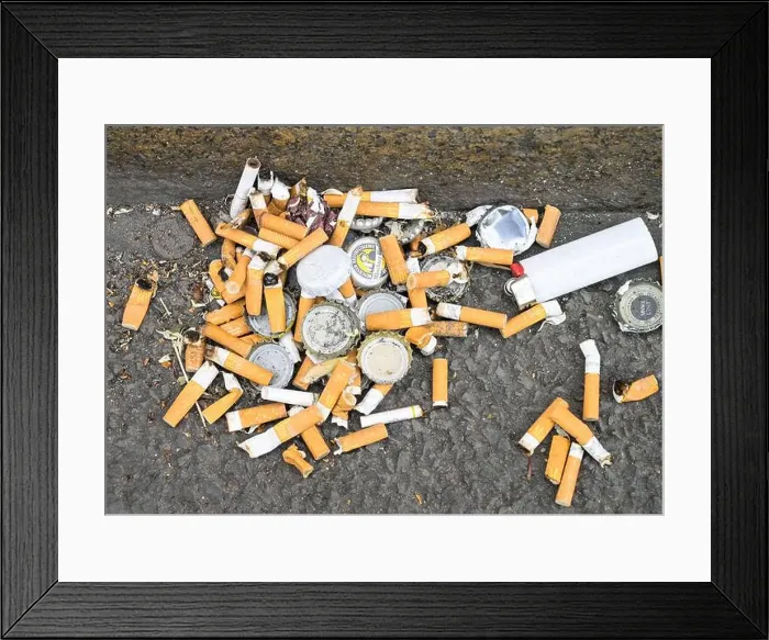 Framed Print : Zigarettenkippen, Umweltverschmutzung Framed Print : Zigarettenkippen, Umweltverschmutzung