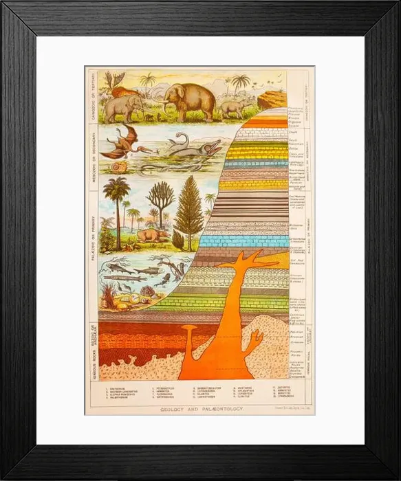 Framed Print : A late 19th Century chart illustrating Paleontology Framed Print : A late 19th Century chart illustrating Paleontology