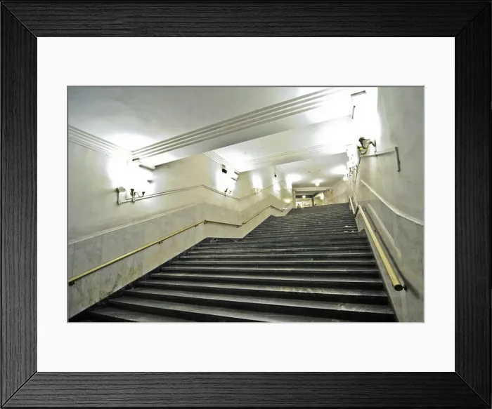 Framed Print : Biblioteka Imeni Lenina metro station. Moscow, Russia