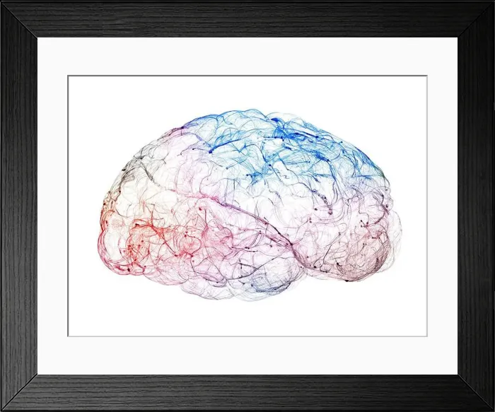 Framed Print : View of the synapses. Brain connections Framed Print : View of the synapses. Brain connections