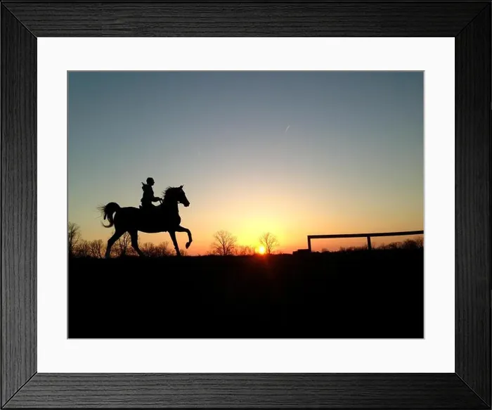Framed Print : Girl riding saddlebred horse in sunset Framed Print : Girl riding saddlebred horse in sunset