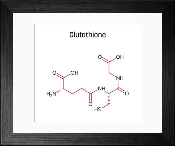 Framed Print : Glutathione molecular structure Framed Print : Glutathione molecular structure