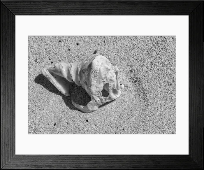 Framed Print : Isla Mujeres Beach Detail Framed Print : Isla Mujeres Beach Detail