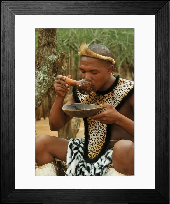 Framed Print : People, adult Zulu man drinking traditional African beer from gourd Framed Print : People, adult Zulu man drinking traditional African beer from gourd